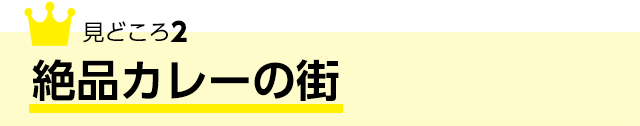 見どころ2 絶品カレーの街