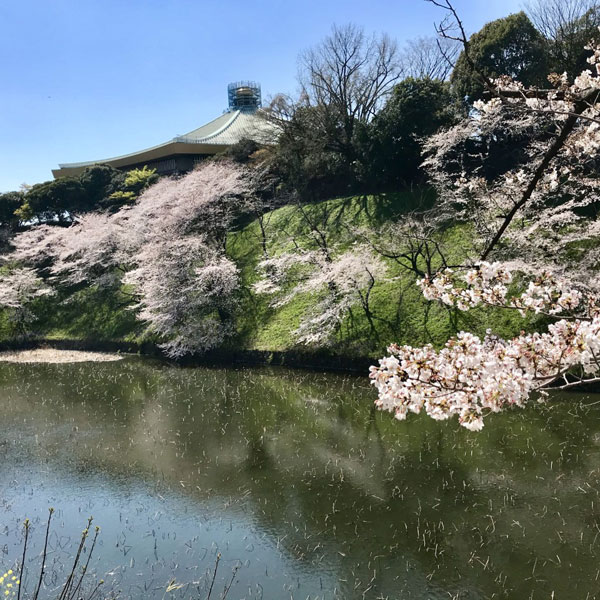 北の丸公園その1