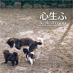 『心生ふ　kokoro ou』 大石惠美子(著)