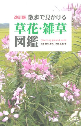 『改訂版　散歩で見かける草花・雑草図鑑』 鈴木庸夫(写真)／高橋冬(解説)