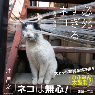 『必死すぎるネコ　～前後不覚篇～』刊行記念　沖昌之さんサイン会