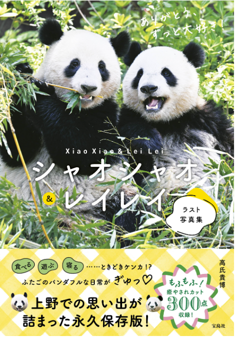 アトレ上野店　ありがとう💚シャオシャオとレイレイ💚